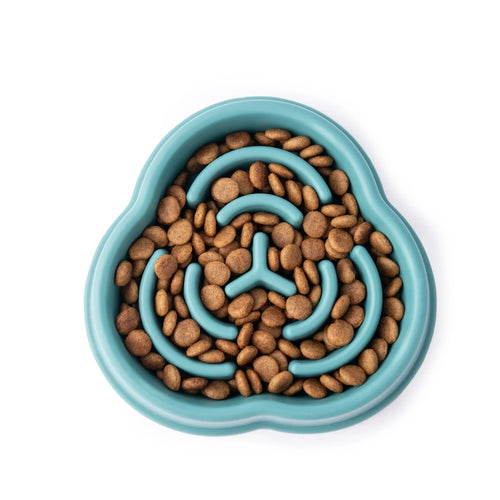 Ceramic Slow Feeder Bowl