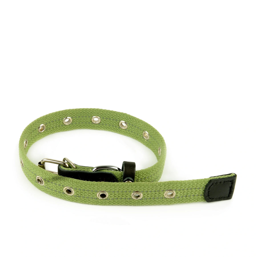 cat collars