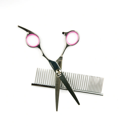 Everyday Grooming Kit