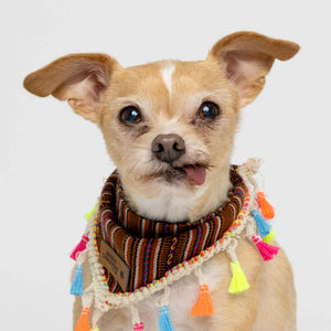 Personalized Celebration Bandana