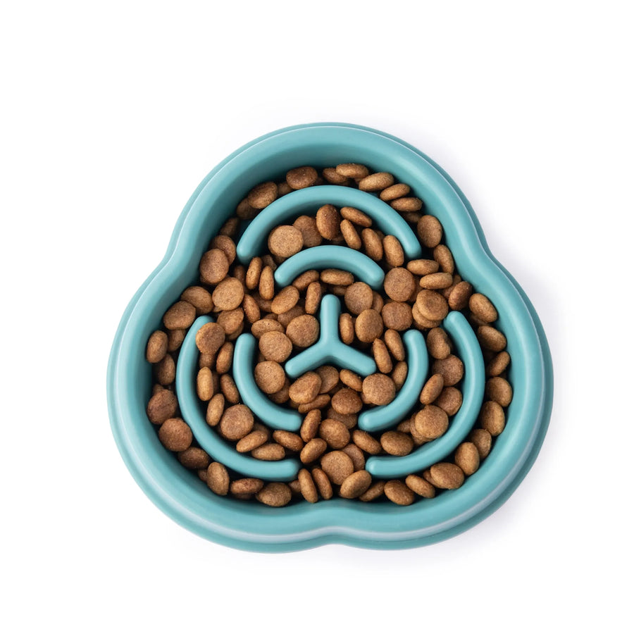 Ceramic Slow Feeder Bowl