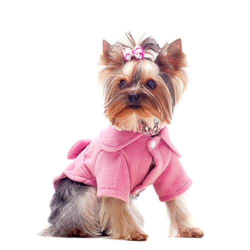 Cozy Everyday Pet Sweater