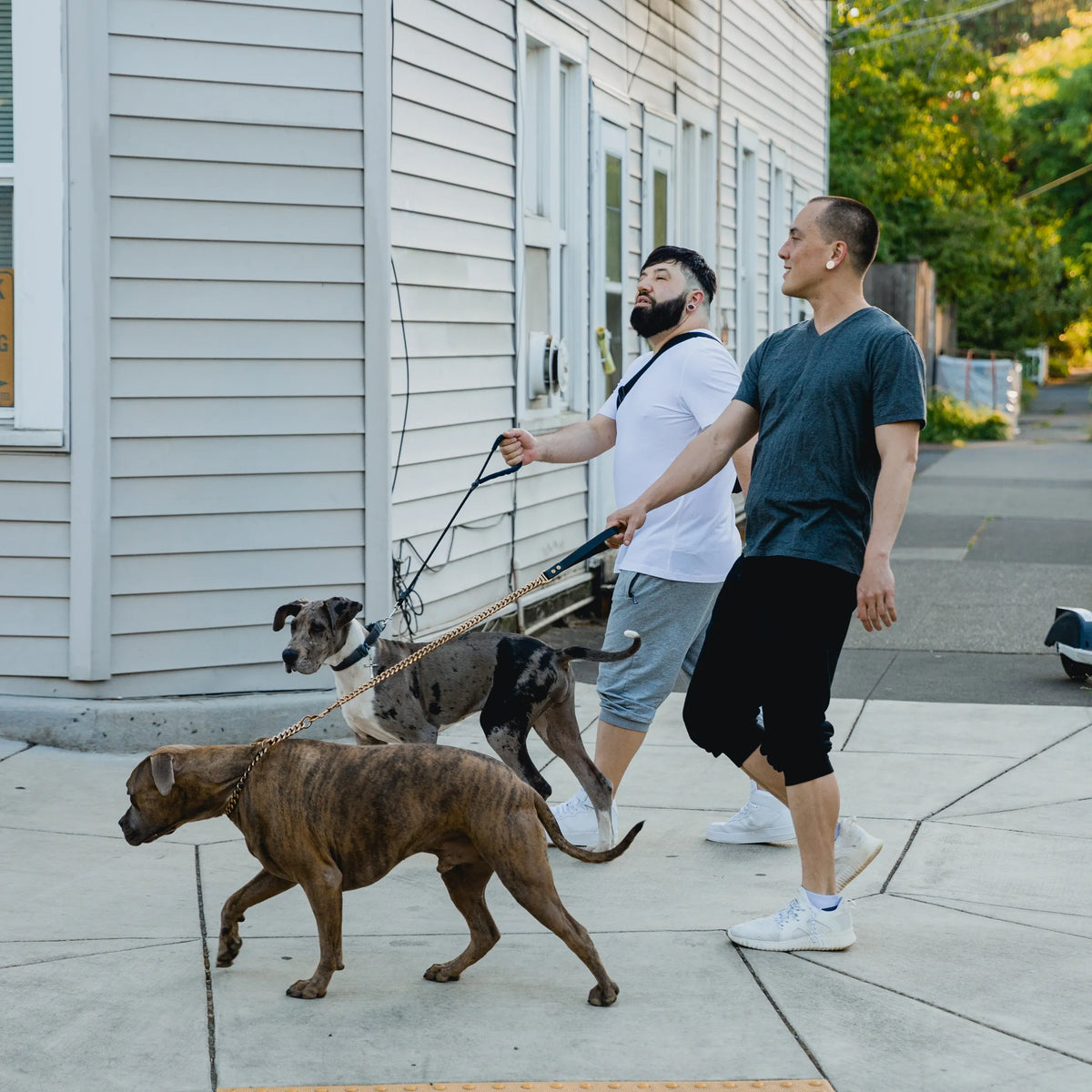 everyday walks