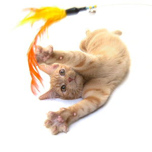 Flutter Feather Wand