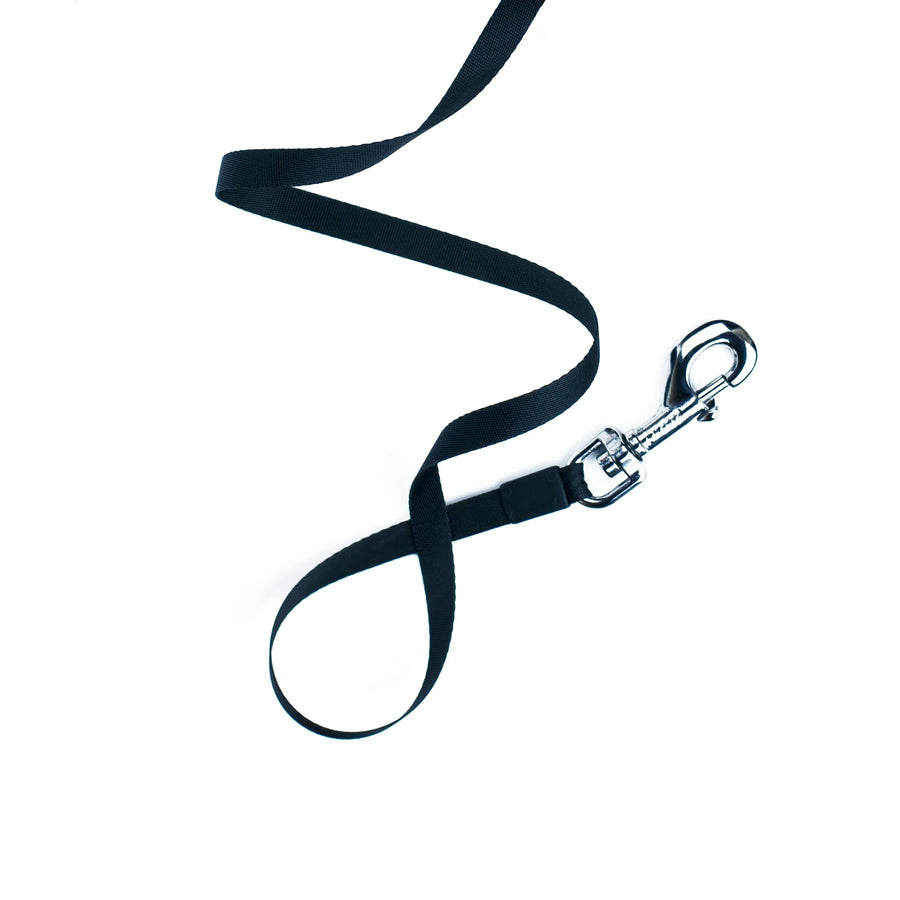 leashes