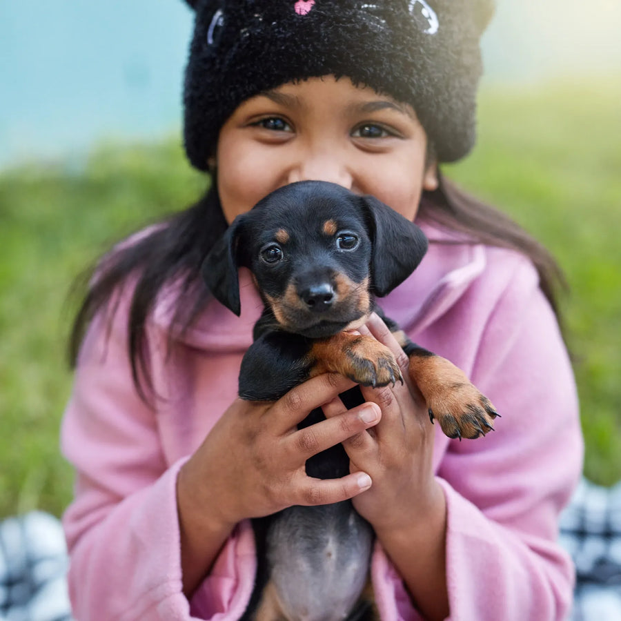 new pet essentials